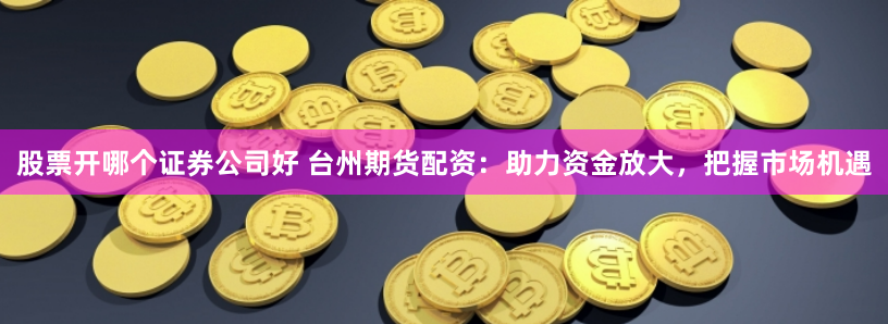 股票开哪个证券公司好 台州期货配资：助力资金放大，把握市场机遇