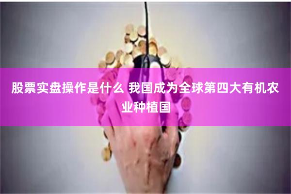 股票实盘操作是什么 我国成为全球第四大有机农业种植国