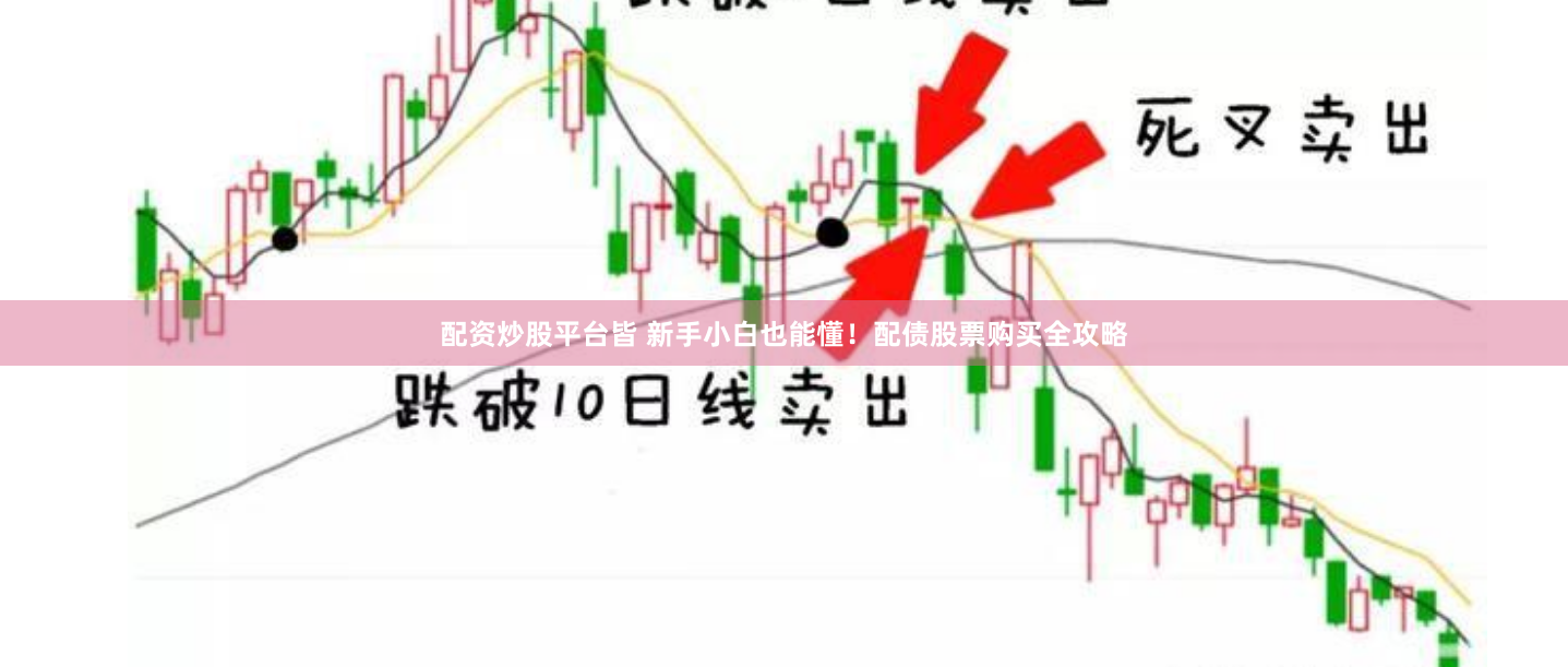配资炒股平台皆 新手小白也能懂！配债股票购买全攻略